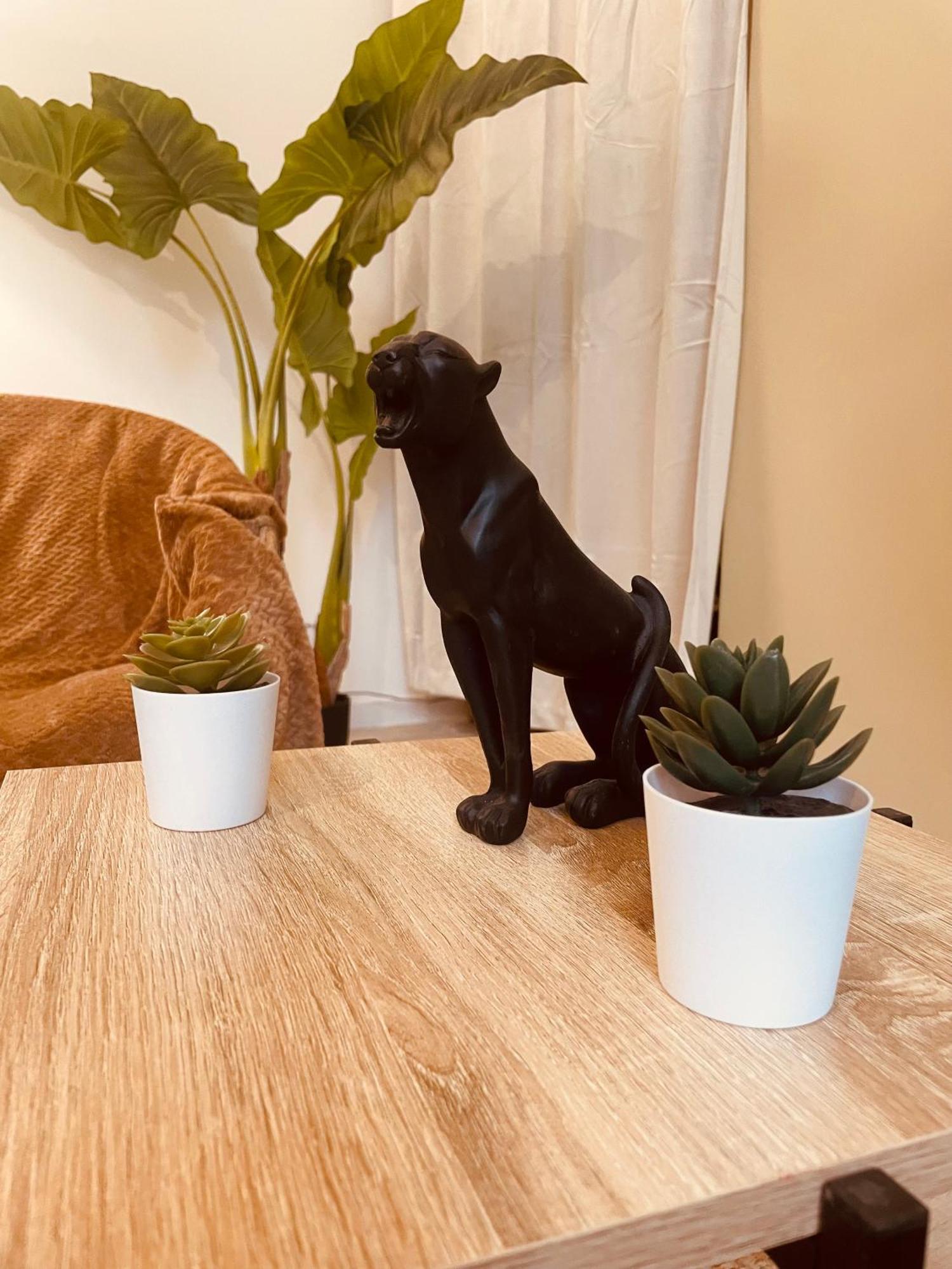 Jungle Love Room De L Hermitage トゥルノン・シュル・ローヌ エクステリア 写真